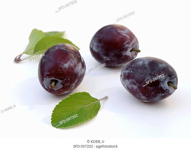 Three plums with leaves