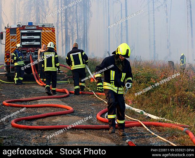 11 August 2022, Saxony-Anhalt, Schierke: Rescue forces of the fire department fight a larger forest fire in Schierke. Since 2 p.m