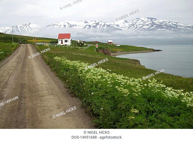 Iceland, Eyjafjordur, View of village at Hrisey Island