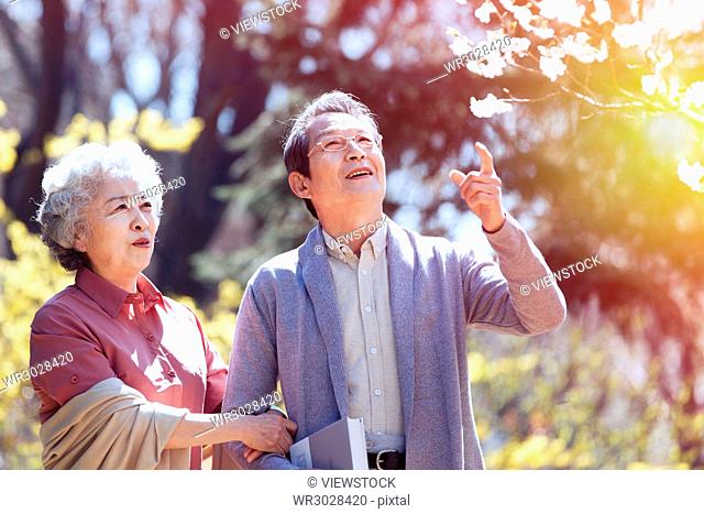 The elderly couple are outdoors