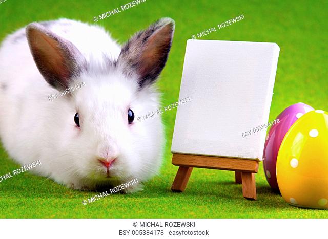 Easter Animals, holiday concept