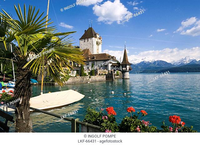 Castle Oberhofen at Lake Thun, Oberhofen, Bernese Oberland highlands, Canton of Bern, Switzerland