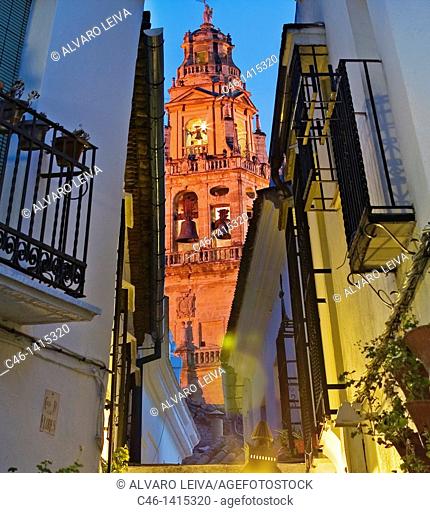 Street and Minaret tower of the Great Mosque, Córdoba  Andalusia, Spain