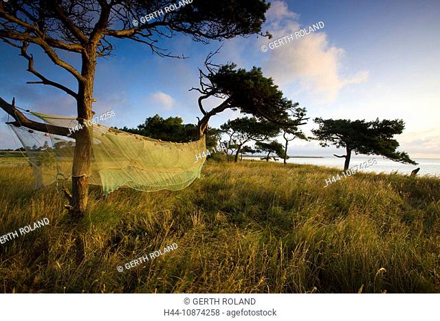 Urehoved, Denmark, island, isle, Aero, coast, sea, trees, land tongue, fishing net