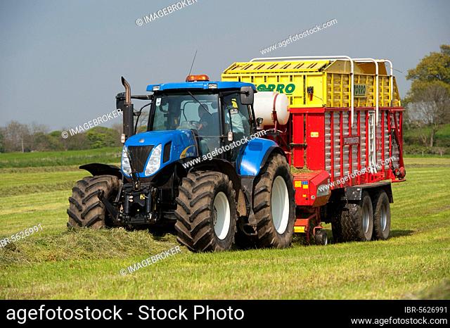 New Holland tractor with Pottinger forage wagon, picking up grass in silage field, Northumberland, England, United Kingdom, Europe