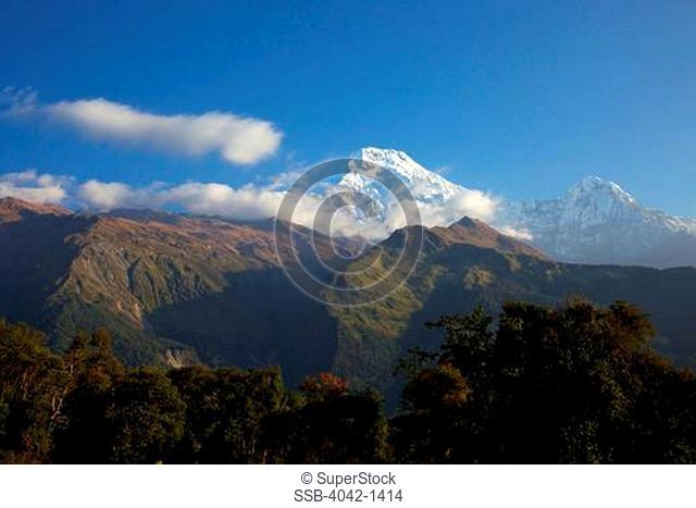 Annapurna range viewed from Tadapani, Annapurna Sanctuary, Himalayas, Nepal