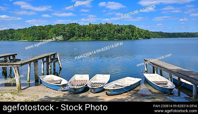 PRODUCTION - 11 August 2023, Brandenburg, Strausberg: There is a jetty almost two meters away from the boats on the shore of Lake Straussee
