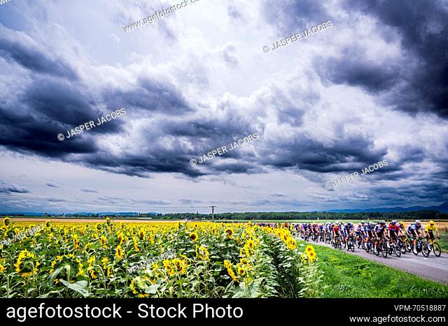 The pack of riders pictured in action during stage 10 of the Tour de France cycling race, a 167, 2 km race from Vulcania to Issoire, France