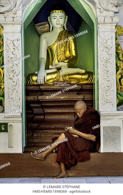 Myanmar (Burma), Yangon division, Yangon, district of Kandawgyi, Shwedagon Pagoda, buddhist monk