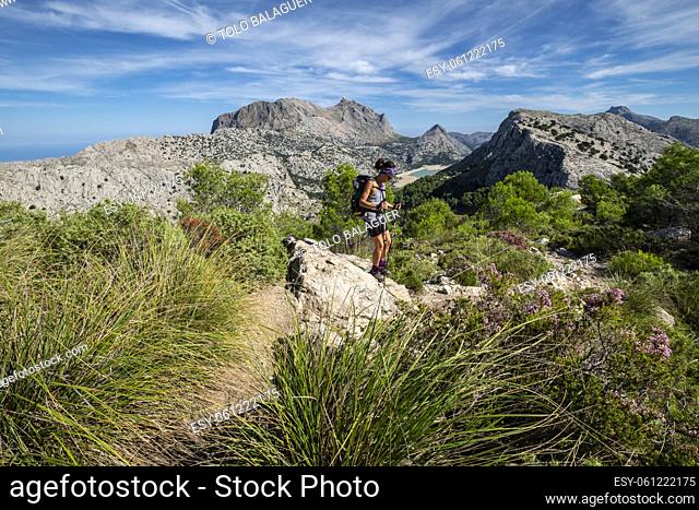 escusion de los tres miles, Puig l'Ofre, Paraje natural de la Serra de Tramuntana, Mallorca, balearic islands, Spain