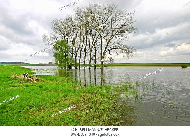 inundation area, Germany