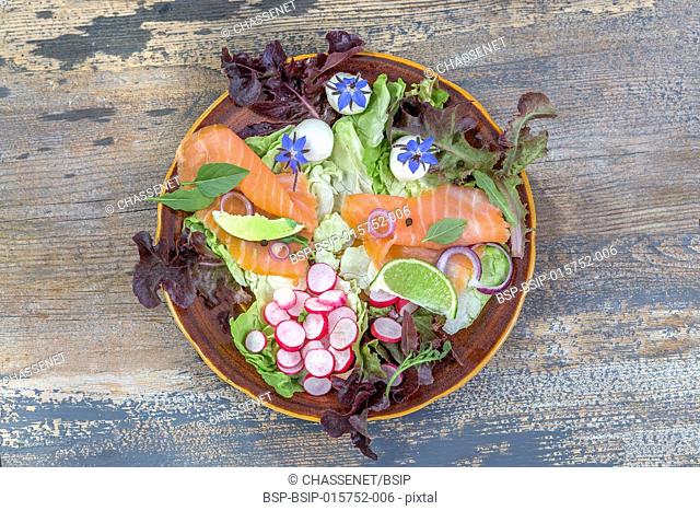 plate aromatic herb salad