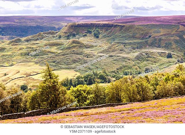 A view over Great Fryup Dale near Danby, North York Moors National Park, North Yorkshire, England, United Kingdom, Europe