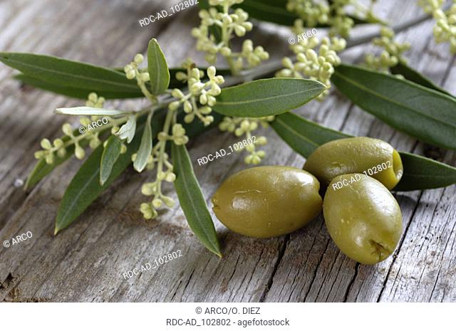 Olives Olea spec