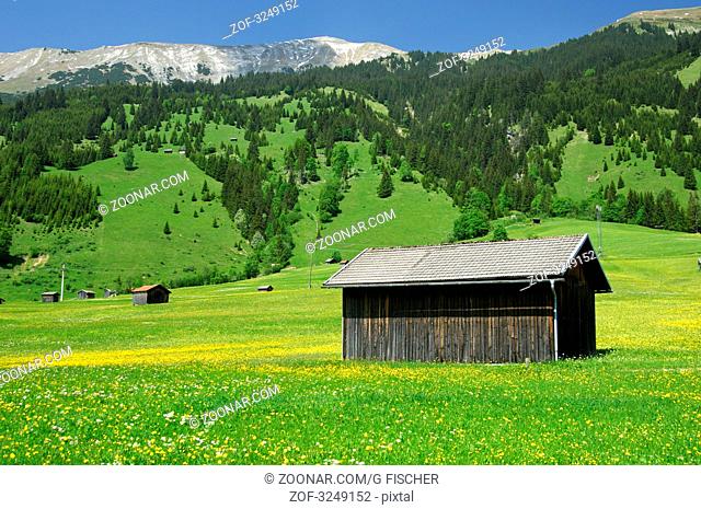 Heustadl auf einer Almwiese bei Lähn, Tiroler Zugspitz Arena, Tirol, Österreich / Hay barn on a mountain meadow near the village of Laehn