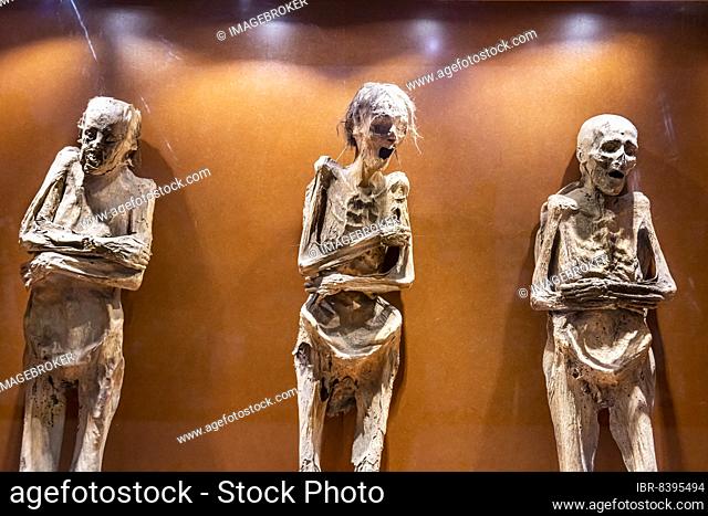 Museum of the Mummies, Unesco site Guanajuato, Mexico, Central America