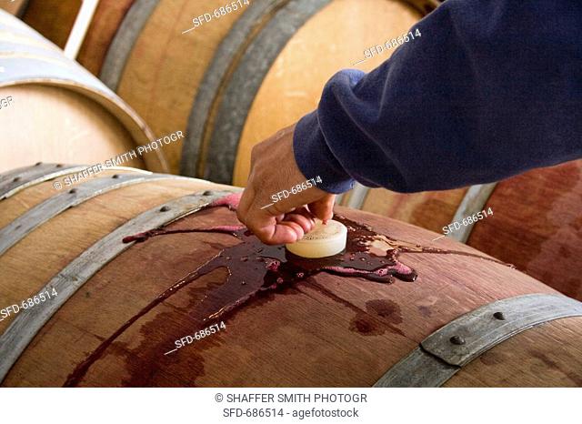 Inserting Plug into Filled Wine Barrel