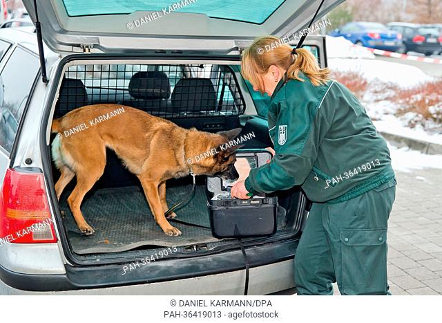 Customs officer Grit Wenzel and her dog Elli perform the search for Crystal Speed outside the chief customs office in Nuremberg, Germany, 24 January 2013