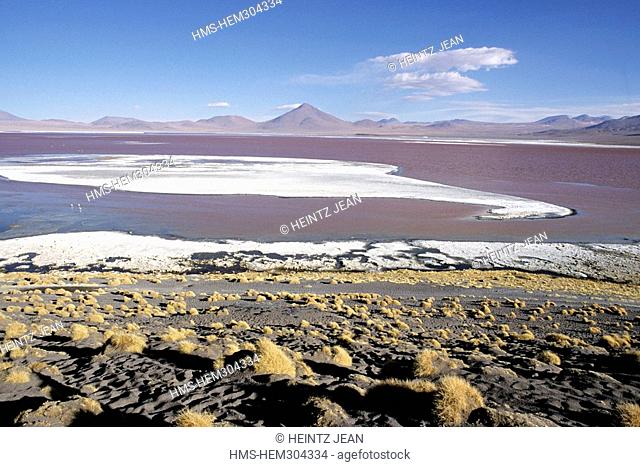 Bolivia, Potosi Department, Sur Lipez Province, Laguna Colorada