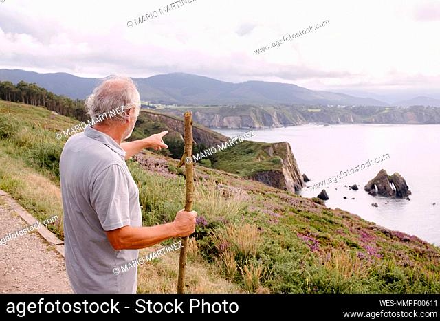 Senior man with stick pointing at mountains