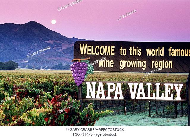 Moonset at dawn over vineyards and Welcome to Napa Valley sign, Napa County, California, USA