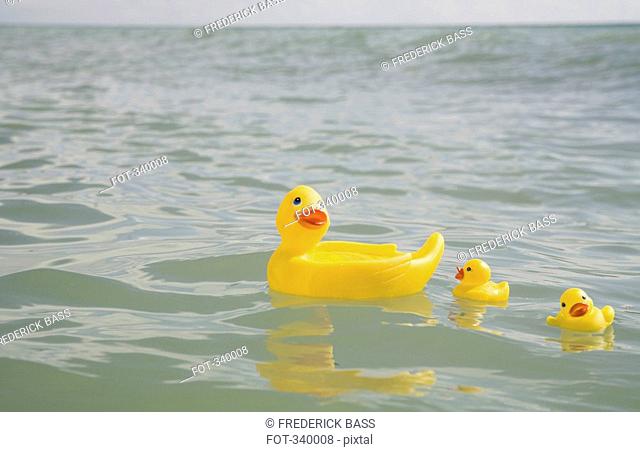 Three rubber ducks floating in sea