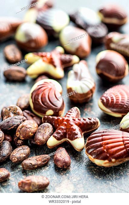 Sweet chocolate seashells and cocoa beans