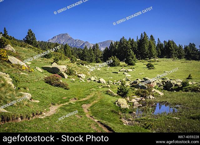 Carlit Lakes, Les Bouillouses, in summer (Pyrenees Orientales, France)