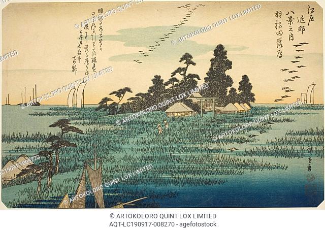 Descending Geese at Haneda (Haneda no rakugan), from the series Eight Views in the Environs of Edo (Edo kinko hakkei no uchi), c