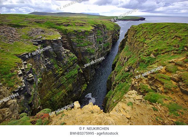 cliff line with ravine like erosion Ramna Geo, United Kingdom, Scotland, Orkney, Orkney Mainland