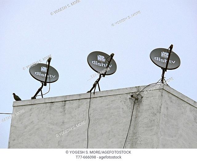 Three dish antennas of a television set are in a row on a building terrace. Pune, Maharashtra, India