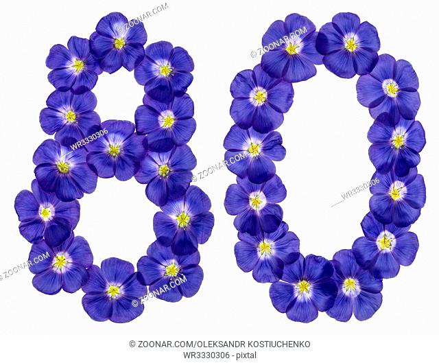 Arabic numeral 80, eighty, from blue flowers of flax, isolated on white background