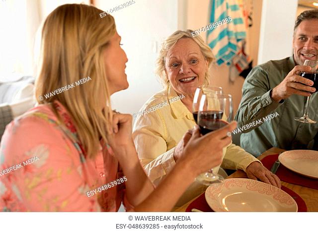 Family toasting glasses of wine on dining table