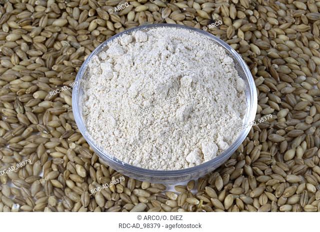 Barley grains and bowl of Sonam's Tsampa Hordeum distichon