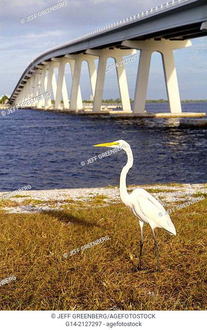 Florida, Fort Ft. Myers, Gulf of Mexico, San Carlos Bay, Sanibel Causeway, bridge, Causeway Islands Park, Sanibel Island, Caloosahatchee River, Hispanic, man