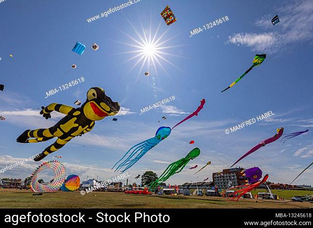 14th International Kite Festival in Schillig, back light, district of the municipality of Wangerland, Friesland district, Lower Saxony