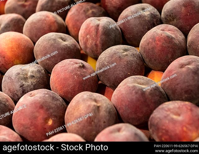 10 June 2022, Baden-Wuerttemberg, Rottweil: Peaches are for sale in an Edeka store in the fruit and vegetable department. Photo: Silas Stein/dpa
