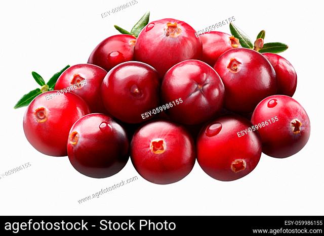 Pile of cranberries (fruit of Vaccinium oxycoccus), ripe, round, with leaves. Clipping path, shadowless