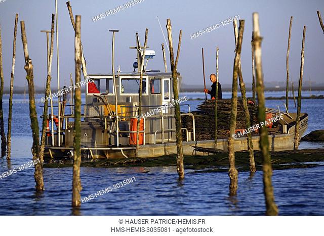 France, Gironde, Bassin d'Arcachon, plate, Oyster barge