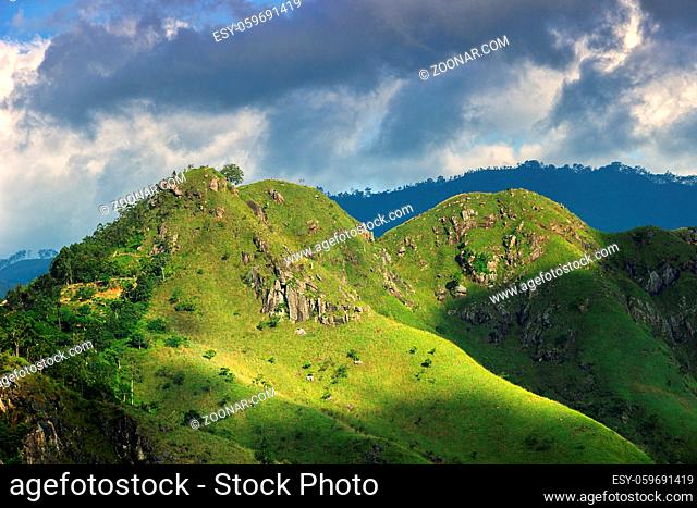 Evergreen shrub and grassland meadows-covered rock in the Central plateau, Sri Lanka nature