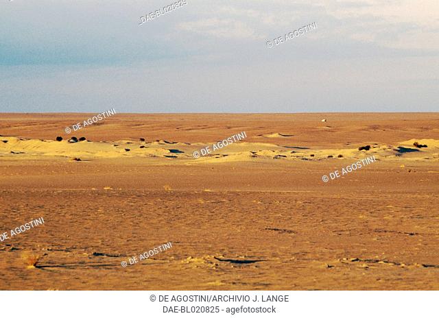 Landscape near Touggourt, Sahara Desert, Algeria