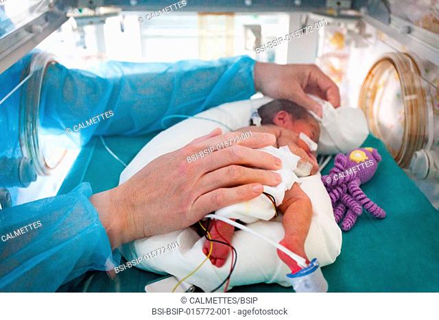 A nursery nurse takes care of a premature baby in the neonatalogy department. Hospital. Aix en Provence., PACA, FRANCE