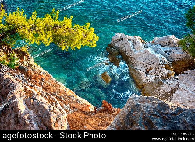 Sea view with rocky coast and pines. Vacation background