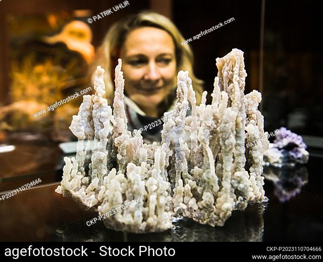 The Moravian Museum opened an exhibition of minerals and macrophotographs of polished agates by geologist Jiri Sura, Worlds Hidden in Stone, November 7, 2023