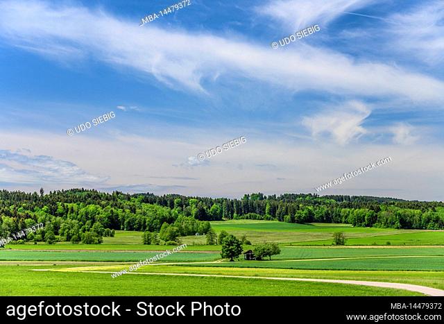 Germany, Bavaria, district Ebersberg, Baiern, district Jakobsbaiern, cultural landscape