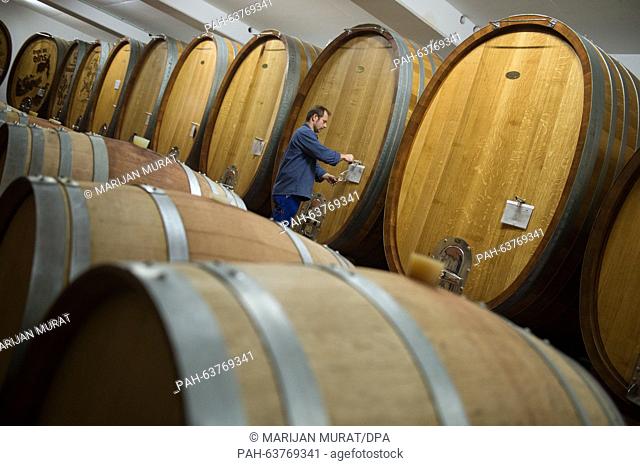 Vineyard technician Stefan Sigloch takes a sample in the wooden and barrique barrel cellar of the Lauffener Weingaertner eG wine growing company