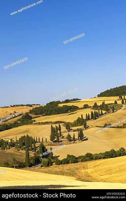 Cipressi di Monticchielo, Typical Tuscan landscape near Montepulciano, Italy