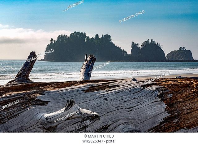 James Island with driftwood on the beach at La Push on the Pacific Northwest coast, Washington State, United States of America, North America