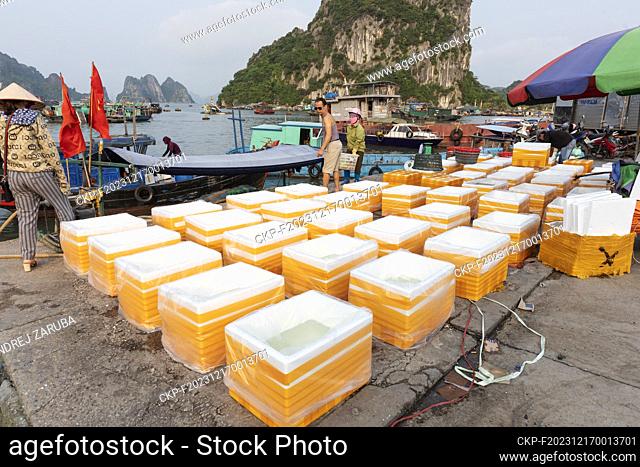 Ha Long bay in Vietnam. Fishermen on market offer seafood, fruits, vegetables, atc. (CTK Photo/Ondrej Zaruba)