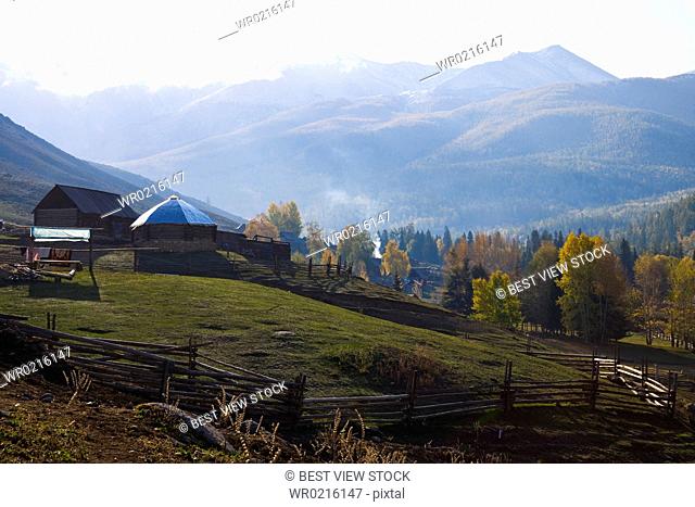 Altay Xinjiang, White Haba